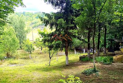 CASĂ DE VACANȚĂ | LUNCA MARE | 1.053 MP TEREN | PRIVELISTE DEOSBITA - 15