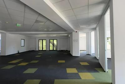 Spațiu Birouri Clasa A – Zona Ultracentrală Icoanei - - 6