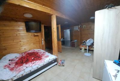Delta Dunarii - Ilganii de Jos - casa cu deschidere la Dunare - 7