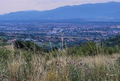 Teren agricol extravilan de 38000 mp, în Gușterița