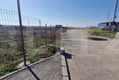 Teren Construcții intravilan de 717 mp, în Cernele