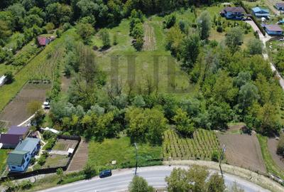 Teren intravilan | langa padure si parau | Luncani/Bacau - 2