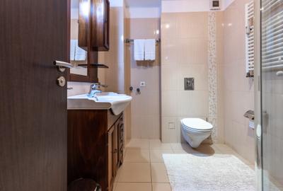 Garsoniera cu vedere la partia Clabucet , Predeal, Brasov - 12