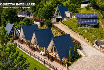 Hotel/Pensiune, de 330 mp, în Alexandru cel Bun