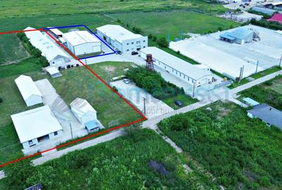 Hala de vanzare cu exclusivitate, la 24 km de Oradea, in Salard, Bihor - 1
