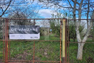 Teren Construcții extravilan de 2500 mp, în Careiului