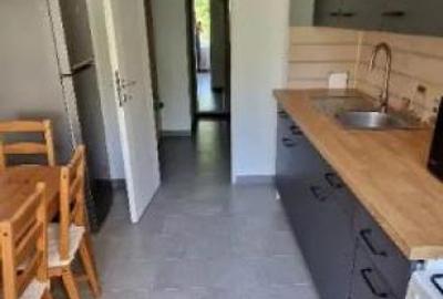 Iancului / Sachelarie Visarion/ et 4 / decomandat / renovat/ - 6