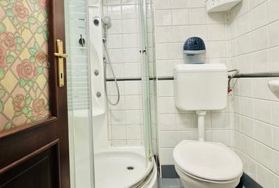 Apartament spațios în zona Aviatorilor - 10