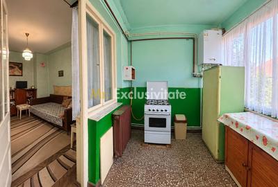 Casă de vânzare 1 Iunie Satu Mare - 9
