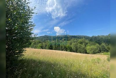 Teren cu potențial turistic, cadru natural rar, 20.000 mp  Sacuieu - 7