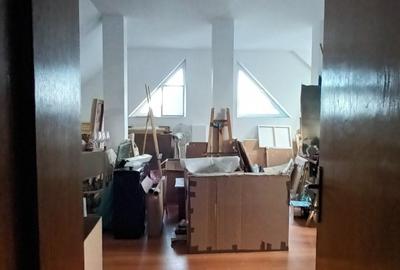 Vila Individuala  , Andronache - 12