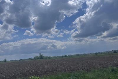 Teren Construcții extravilan de 7800 mp, în Exterior Nord