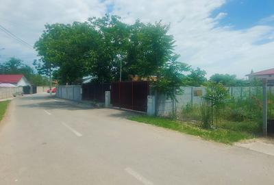 Cernica-Sat Posta, 600 m.p., toate utilitatile, ingradit,ideal investitie. - 4