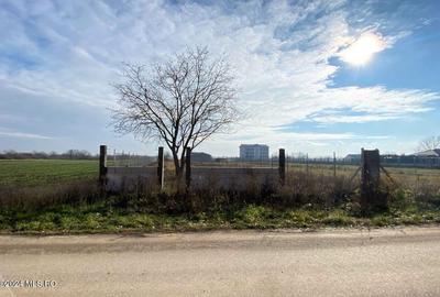 Afumati - Str. Iasomiei, 2409 MP, stradal, intravilan, deschidere 12 m - 3