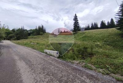 Teren 33,364mp Dorna Candrenilor / Strada Strugurel - 8