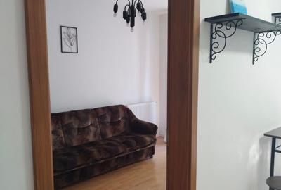 Apartament str Porii langa Profi/Annabella - 7
