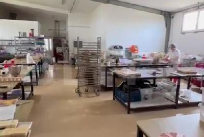 Spațiu industrial, de 1,880.00 mp, în Botizului