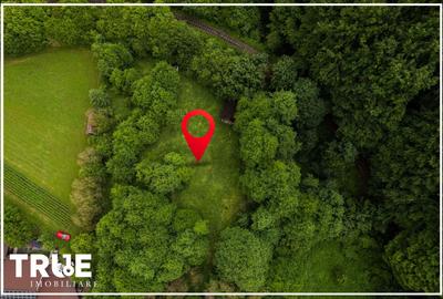 Teren intravilan 2.800 m² în Câmpu Cetății – liniște și natură - 13