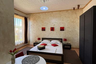 Apartament de închiriat, 1 cameră, 40 mp, Borhanci zona Romul Ladea - 2