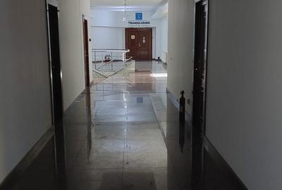 Birouri situate ultracentral, preturi excelente - 3