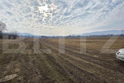 Teren agricol extravilan de 7200 mp, în Exterior Vest