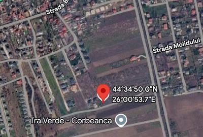 TEREN CORBEANCA-TAMASI - 2