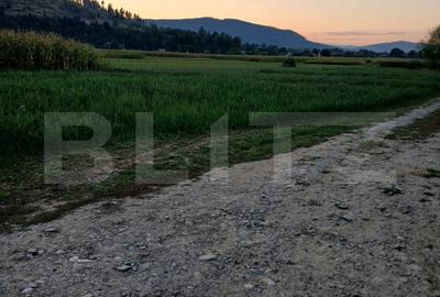 Teren Construcții intravilan de 2818 mp, în Capu Câmpului