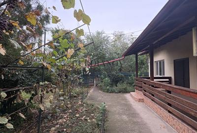 Casă cu 6 camere de vânzare | Jud. Călărași | Nicolae Bălcescu - 34