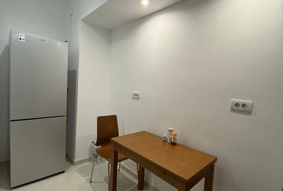 Apartament 2 camere cu terasa si parcare//Herastrau - Soseaua Nordului - 7