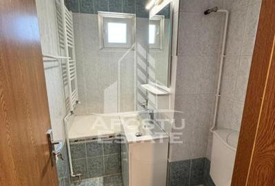 Apartament cu 2 camere, de inchiriat, Take Ionescu, Timisoara - 5