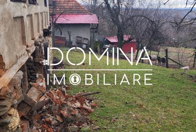 Teren generos 4790 mp + casă tradițională, în loc. Mușetești - 7