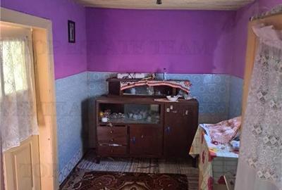 Casa cu teren 3579mp in com. Cascioarele, Jud. Giurgiu - 8