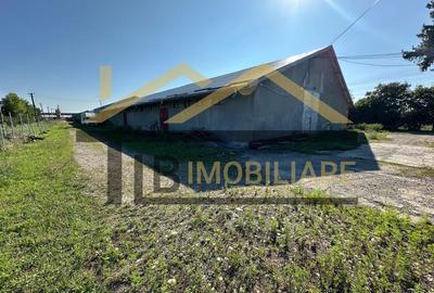 Spațiu industrial, 1061 mp în Dumbrăvioara