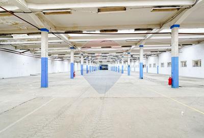 Hală industrială de închiriat în zona industrială Prejmer, Brașov - 3