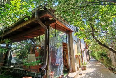 Vila cu sera si gradina amenajata - 5