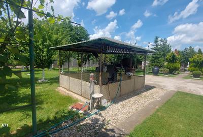 Snagov- Gruiu- Santul Floresti -Proprietate cu stil pentru oameni gospodari! - 36