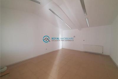 Royal Imobiliare - Inchiriere Spatiu Industrial zona Vest - 10