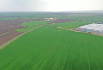 Teren industrial Dudestii Noi - 1