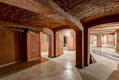 REC3001678 Spatiu comercial Cismigiu - 1