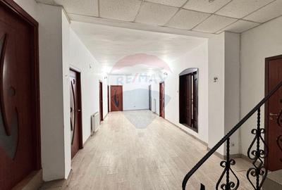 Vila de vanzare in zona peninsulara Constanta - 17