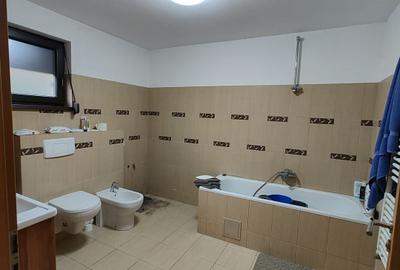 Casa deosebita in Sacalaz - vatra satului la 15 minute de Timisoara - 39