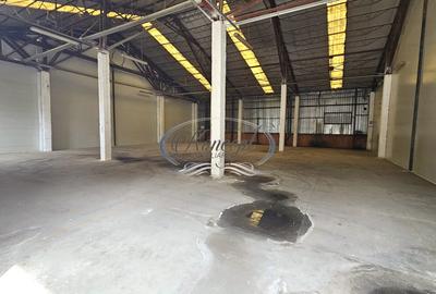Hale 200-400-1.000 mp, productie, depozitare, logistica - 8