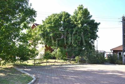 Teren intravilan industrial de vanzare in Episcopia Bihor Oradea, Oradea - 1