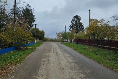 Butimanu (Decindea) Jud. Dambovita, teren intravilan si extravilan - 6