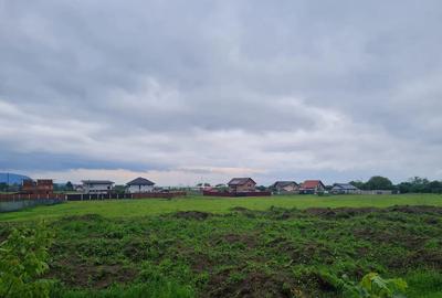 Teren Intravilan Cu PUZ 635 MP-Electroprecizia-Sacele- Cod 5239 - 1