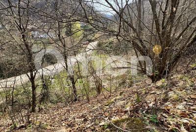 Teren intravilan | 637 mp | Ulmoasa | zonă superbă - 3