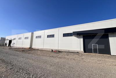 Hala, 600 mp, zona Aeroport - 1