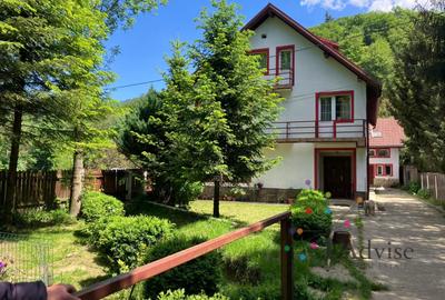 Vanzare Casa Timisul de Jos - 1