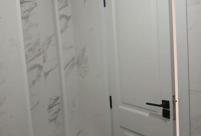 Apartament 3 camere de vanzare Pacii - 13
