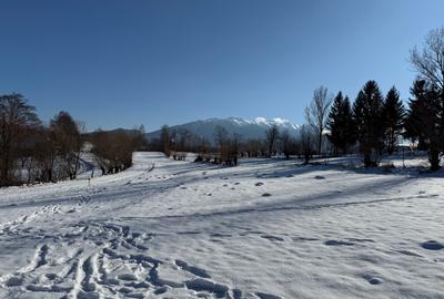 Teren intravilan intre 500 si 1000 mp   in zona Bran - 13